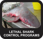 Position Statement - Shark Control Programs