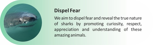 Dispel Fear