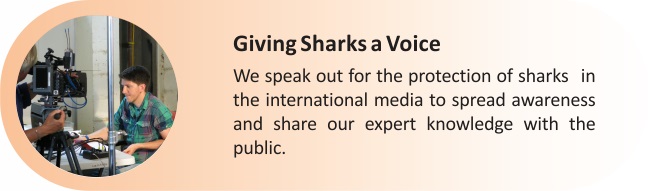 Giving_Sharks_a_Voice