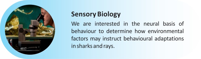 Sensory_Biology