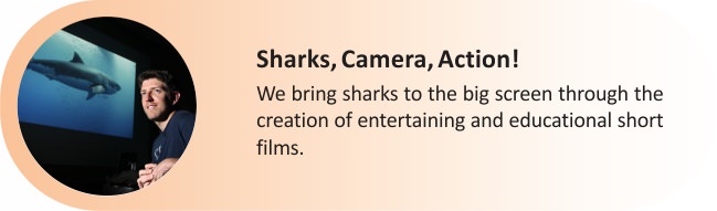 Sharks_Camera_Action