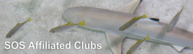 SOS Clubs Banner