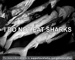 I do not eat sharks