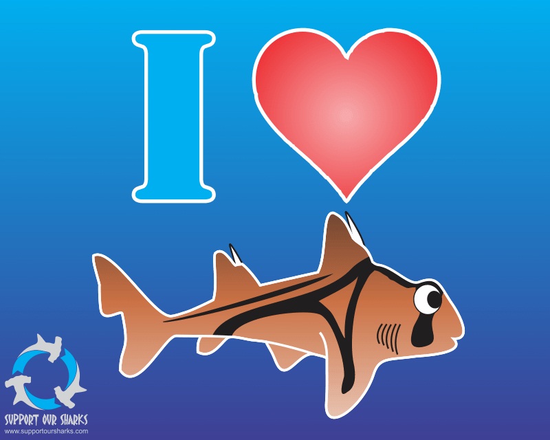I Love (Port Jackson) Sharks