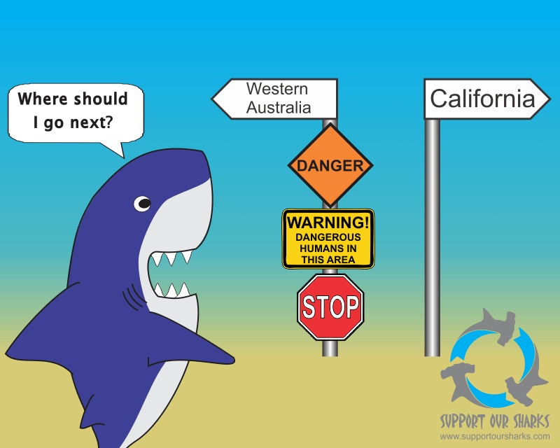 Avoid Western Australia..if you're a shark!