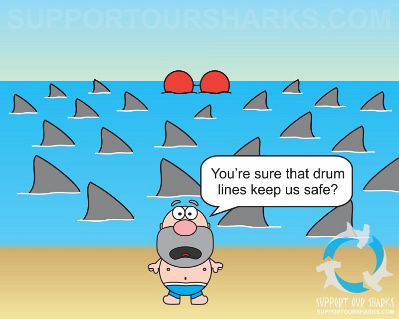 Shark Drum Lines
