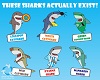 Sharks with funny names