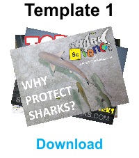 Shark Presentation Template 1