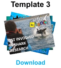 Shark Presentation Template 3