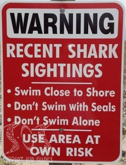 Shark Warning Sign